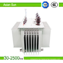 Electrical Transformer Oil Type Transformer Manufacturer From China